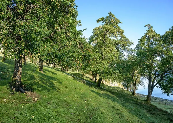 Дом отдыха Tor By Interhome *